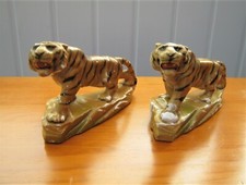 Characterful couple tiger for sale  LUDLOW