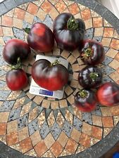Tomatensamen sergeant pepper gebraucht kaufen  Berlin