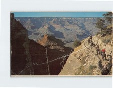 Postcard mule train for sale  Almond