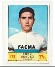 Adesivo eddy merckx usato  Signa