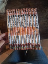 Fumetto manga shojo usato  Brescia