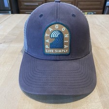 Patagonia live simply for sale  Wilmington