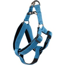 Harnais jannu bleu d'occasion  Marciac