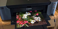 canon pro 100 printer for sale canon pro 100 printer for sale Tujunga