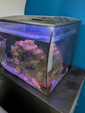 35l fish tank for sale  NOTTINGHAM
