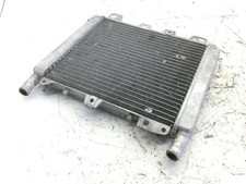 Radiatore acqua liquido usato  Viareggio