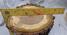 Black walnut slab for sale  Cincinnati