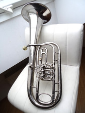 Althorn hirsbrunner gebraucht kaufen  Karlsbad