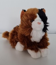 Animal alley cat for sale  SHEERNESS