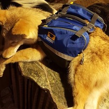 Mountainsmith small dog for sale  Murphy