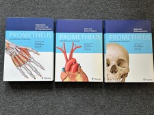 Prometheus lernpaket anatomie gebraucht kaufen  Braunschweig