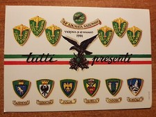 Associazione nazionale alpini usato  Rubiera