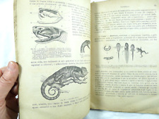 Antico libro scuola usato  Cremona