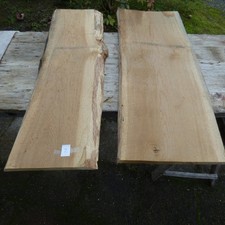 eichenbaum gebraucht kaufen  Hennef