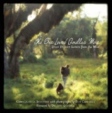 One loved gorillas for sale  UK
