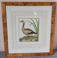 Britsh library ltd for sale  UK