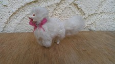 Alter hund alte gebraucht kaufen  Taucha