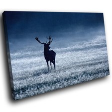 A629 winter stag for sale  STRABANE