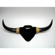 Vintage mounted steer for sale  Albany