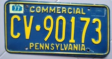 Targa pennsylvania originale usato  Biella