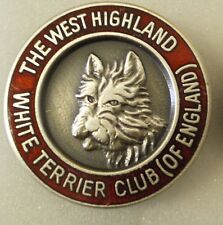 West highland white for sale  HARTLEPOOL