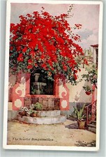 38185925 - Madeira The Scarlett Bougainvillea, usado comprar usado  Enviando para Brazil
