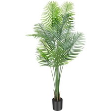 7ft 1pack areca for sale  Lathrop