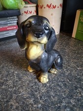 dachshund pup for sale  Porter