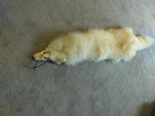 arctic white fox pelt soft for sale arctic white fox pelt soft for sale West Blocton