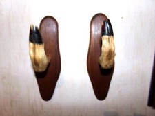 Paire porte fusils d'occasion  Avranches