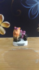 Yorkshire terrier f240 d'occasion  Génissieux