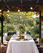 Festoon hire garden for sale  SANDY