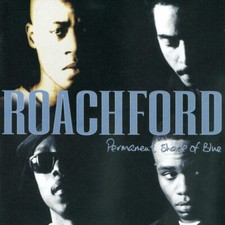 Roachford permanent shade for sale  USA