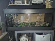 3ft reptile vivarium for sale  PRESTON