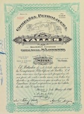MEXICO P/42 COMPAÑÍA PETROLIFERA DE VALLES SA, 100 acciones de 1916 comprar usado  Enviando para Brazil