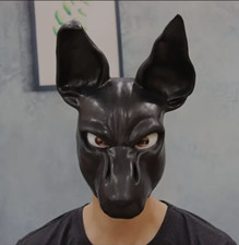 Naturlatex gay pride gebraucht kaufen  Brühl