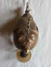 pesce palla usato pesce palla usato Battaglia Terme