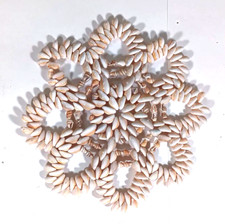 Vintage cowrie seashell for sale  Honolulu