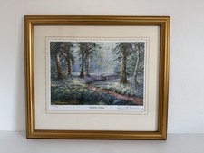 David crane bluebells for sale  BEDFORD