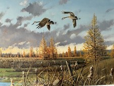 Owen gromme tamaracks. for sale  Zeeland