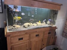 Fish tank used for sale  WORCESTER