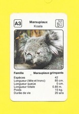Carte marsupiaux koala d'occasion  Nancy-