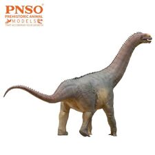 Pnso njor camarasaurus for sale  MIDDLEWICH