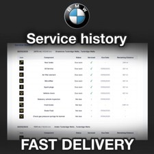 MINI registros de histórico de serviço digital - E-mail comprar usado  Enviando para Brazil