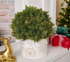 Bethlehem lights sphere for sale  Dothan
