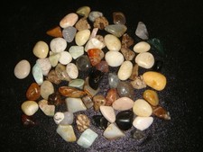 miscellaneous 2 for sale miscellaneous 2 for sale Dyer
