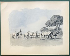 Illustration couleurs chevaux d'occasion  Martigues