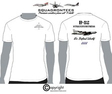 Stratofortress defend liberty for sale  Bartlett