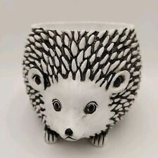 Harry david hedgehog for sale  La Crosse