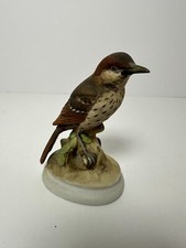 Lefton brown thrasher for sale  Omaha